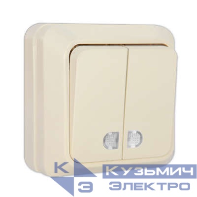 Выключатель 2-кл. ОП Олимп 10А IP20 с подсветкой сл. кость UNIVersal Б-О0123