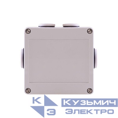 Бокс всепогодный защитный RexBox 100х100х55 IP65 Rexant 51-1051