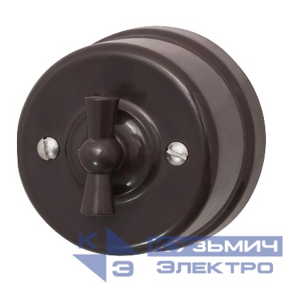 Выключатель 1-кл. ретро ABS-пластик коричн. Bironi B1-200-22