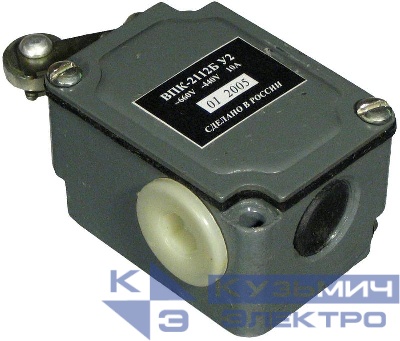 Выключатель путевой конечный ВПК-2112Б У2 1НО+1НЗ 10А IP67 рычаг с роликом A8014-80085114