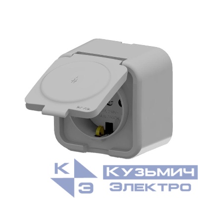 Розетка 1-м СП ARIA 16А IP20 с заземл. с крышкой сер. ARVIA 25 22 1000 218