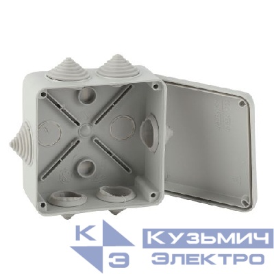 Коробка распаячная ОП КОРv 100х100х50мм IP55 на винтах 6 гермовводов KORv-100-100-50-6g Эра Б0047264