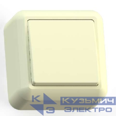 Выключатель 1-кл. ОП Оптима 10А IP20 А110-377 с монтаж. пластиной сл. кость Кунцево 8030