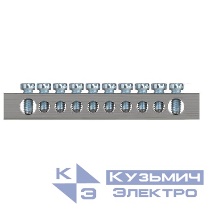Шина PEN земля-ноль 6х9мм 10/2 никелированная с креплениями по краям NO-224-84 Эра Б0062980
