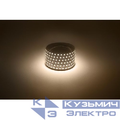 Лента светодиодная LS2835-120LED-IP20-WW-eco-5m (100/1800) (уп.5м) Эра Б0035596