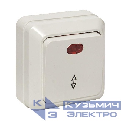 Переключатель проходной 1-кл. ОП Рим 10А IP20 с индикатором бел. EKF ENV10-125-10