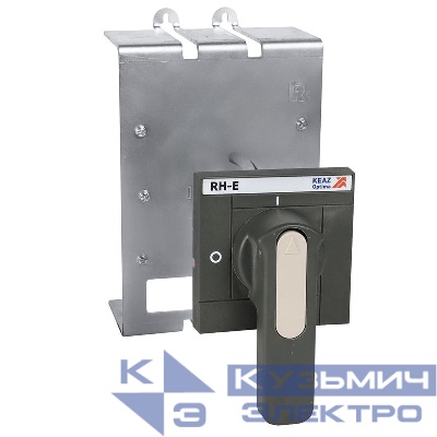 Рукоятка выносная поворотная RH-E T250 КЭАЗ 357189