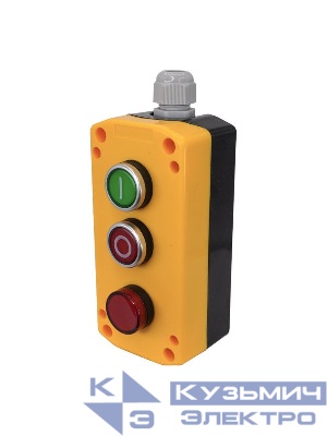 Пост управления ПКУ-22-33V2B-65У1 1 цилиндр "I" НО зел.; 1 цилиндр "O" НЗ красн.; лампа красн. 24В AC/DC IP65 Электротехник ET526985