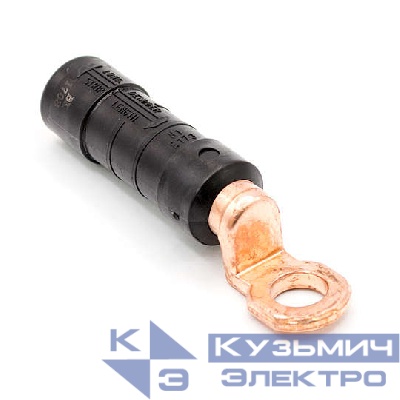 Наконечник изолированный CPTAU 25 ВК 21800921