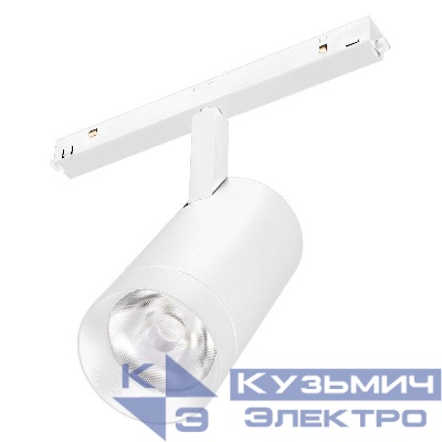 Светильник MAG-ORIENT-SPOT-R65-20W Day4000 (WH 24 deg 48В) (IP20 металл) Arlight 037122