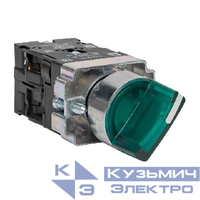 Переключатель BD21 2P с зел. подсветкой 230В NO PROxima EKF xb2-bk21-g-230
