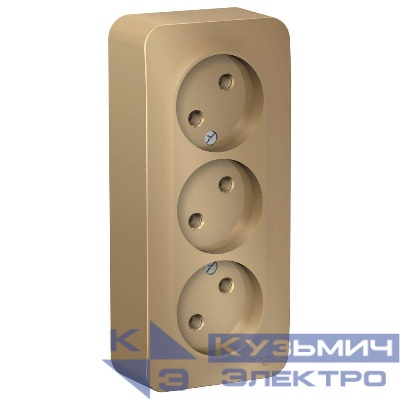 Розетка 3-м ОП Blanca 16А IP20 250В без заземл. без защ. шторок с изолир. пластиной титан SE BLNRA000314