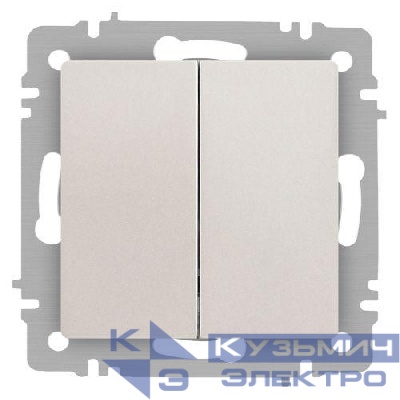 Переключатель 2-кл. СП Accent 6-107-06 10А IP20 250В AL/CU перламутр. Intro Б0063566