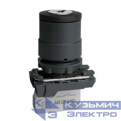 Переключатель OptiSignal D22 C5-SK-21 с ключем 2 поз пластик 1НО XB5AG21 КЭАЗ 332184
