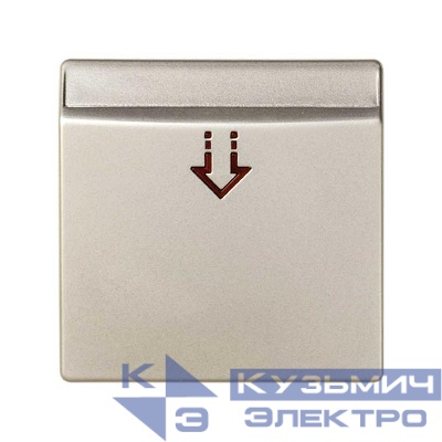 Накладка на 26526-; 26550-39; 75558-39 Simon82/82Nature шампань 82078-64