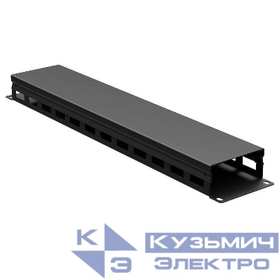 Органайзер кабельный 19дюйм с крышкой 2U глубина 40 мм RAL9005 DKC R5CP1942HEB