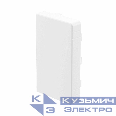 Заглушка LAN 60х40 (розн. упак. 2шт) DKC 00869R