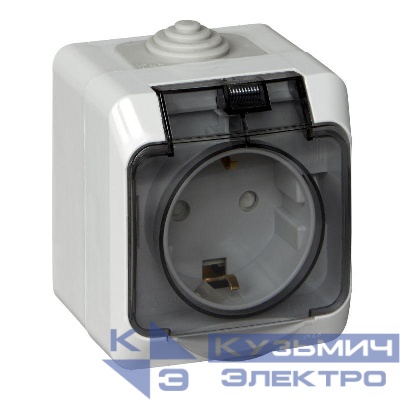 Розетка 1-м ОП Этюд 16А IP44 250В с заземл. защ. шторки с крышкой сер. SE PA16-044C