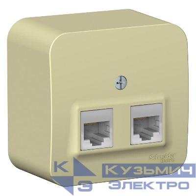 Розетка компьютерная 2-м ОП Blanca RJ45 кат.5E с изолир. пластиной беж. SE BLNIA045457