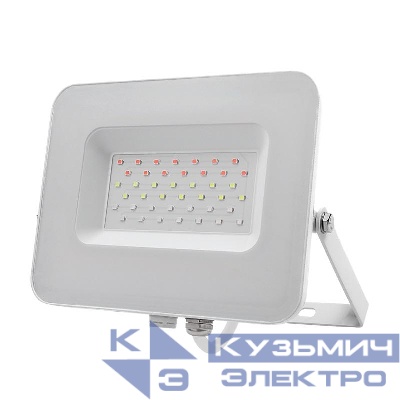 Прожектор светодиодный PFL-30W RGB 30Вт IP65 ДО WH JazzWay 5012103
