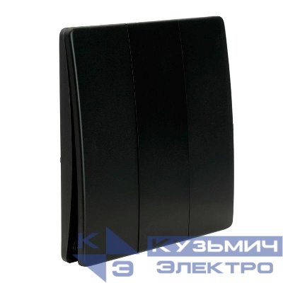 Выключатель дистанционного управления 3-кл. TM93 IP65 7мВт черн. FERON 51028