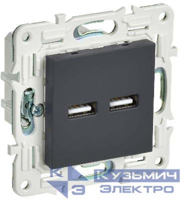 Розетка USB A+A 3.1А SKANDY SK-R15G графит IEK SK-U21-D31-K53