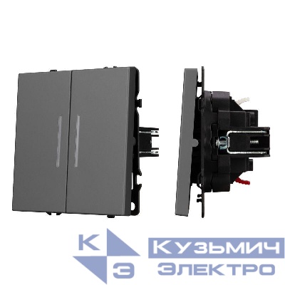 Выключатель непроходной 2-кл. LED SWT-NOBE-MK02-SFPL-L-GR 10А 230В механизм Arlight 054266