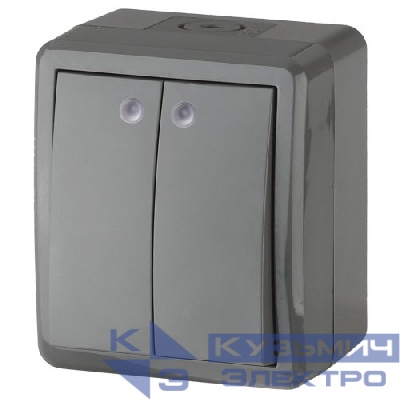 Выключатель 2-кл. ОП Эра Эксперт 10А IP54 11-1405-03 250В 10AX с подсветкой сер. Эра Б0020678