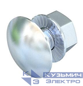 Комплект креплений M6х30 FRSB 6х30 F (болт с плоской головкой + комб. гайка) OBO 6406907