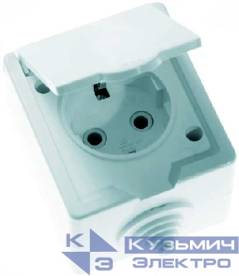 Розетка 1-м ОП РА16-660 16А IP44 с заземл. бел. Кунцево 5906