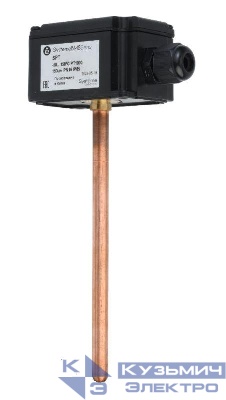 Датчик температуры погружной 0-100град.C 4-20мА 150мм 24В с гильзой SE SPT2C150