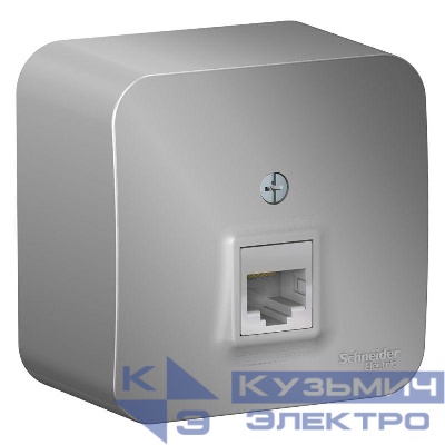 Розетка компьютерная 1-м ОП Blanca RJ45 кат.5E с изолир. пластиной алюм. SE BLNIA045003