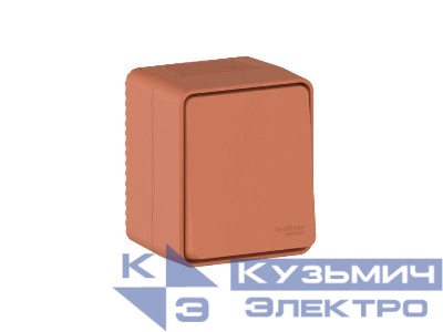 Переключатель проходной 1-кл. ОП AtlasDesign PROFI IP54 10AX терракот. SE ATN547061