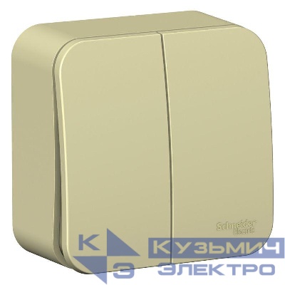 Выключатель 2-кл. ОП Blanca 10А IP20 (сх. 5) 250В с изолир. пластиной беж. SE BLNVA105017