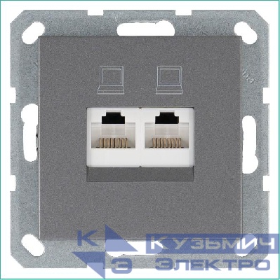 Розетка компьютерная 2-м RJ45 IP20 кат. 6 механизм алюм. Jasmart G6108S