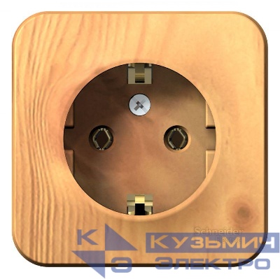 Розетка 1-м ОП Blanca 16А IP20 250В с заземл. без защ. шторок ясень SE BLNRA010105