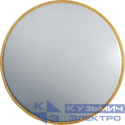 Светильник светодиодный 93 459 NLF-C-025-01 NAVIGATOR 93459