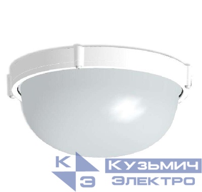 Светильник "Банник" 1101 НПП 03-100-009 1х100Вт E27 IP65 круг большой корпус бел. Элетех 1005500930