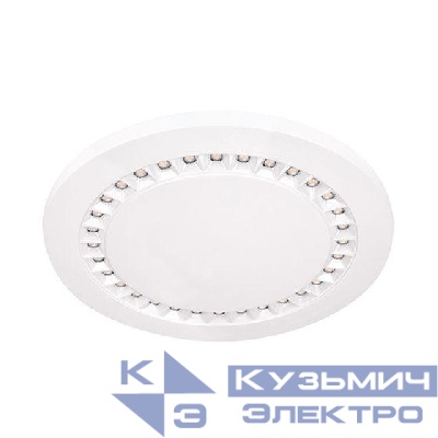 Светильник светодиодный ДПО37-15-001 Punkt 840 Ардатов 1184415001