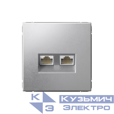 Розетка компьютерная 2-м ArtGallery RJ45 + RJ45 кат.5E механизм алюм. SE GAL000385