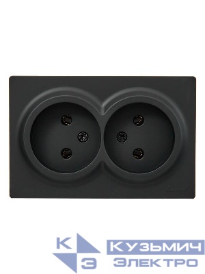 Розетка 2-м ОП LETO без заземл. закрытый корпус ПБТ черн. бархат LEZARD 752-4200-128B