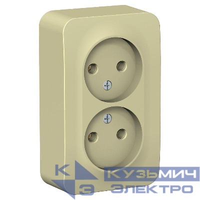Розетка 2-м ОП Blanca 16А IP20 250В без заземл. без защ. шторок с изолир. пластиной беж. SE BLNRA000217