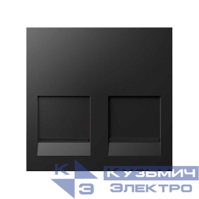 Адаптер со шторками 2 RJ45 Keystone черн. Simon 400 40000089-038