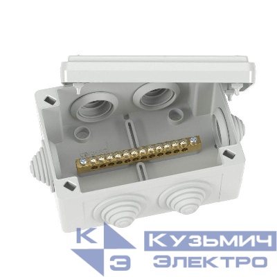 Коробка уравнивания потенциалов 12 зажимов 6 вводов д.25мм 120х80х50мм IP55 DKC NE3112