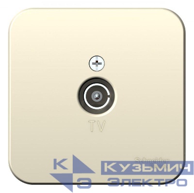 Розетка телевизионная TV ОП Blanca коннектор с изолир. пластиной молочн. SE BLNTA000012