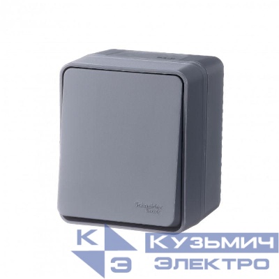 Выключатель 1-кл. ОП AtlasDesign PROFI IP54 10AX антрацит SE ATN544011