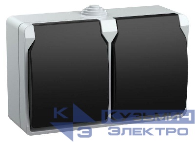 Розетка 2-м ОП Форс РСб22-3-ФСр 16А IP54 с заземл. с крышкой сер. IEK ERS22-K03-16-54-DC