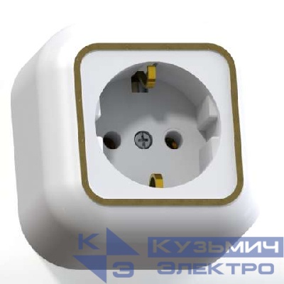 Розетка 1-м ОП Валентина РА16-638 16А IP20 с заземл. бел./зол. Кунцево 7641