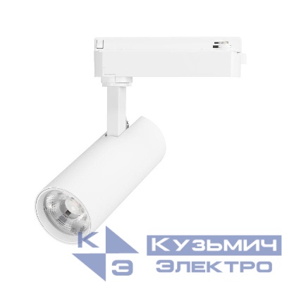 Светильник светодиодный LGD-GERA-2TR-R55-10W Day4000 WH 36deg 230В IP20 10Вт 4000К метал. Arlight 055037