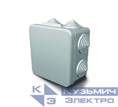 Коробка распределительная ОП 100х100х55мм IP54 ГУСИ С3В108 Евро